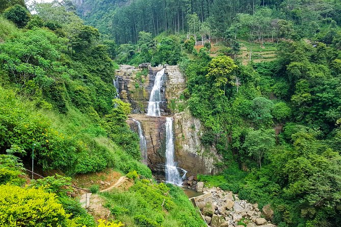 Nuwara Eliya Highlands from Kandy - Hakgala Botanical Gardens: A Calmer Afternoon Walk