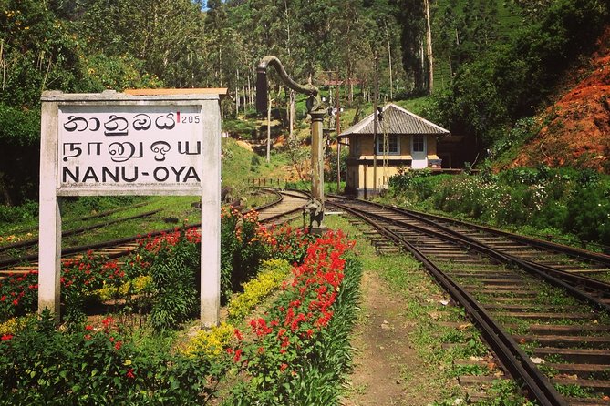 Nuwara Eliya journey by Train and car (2 Days with 01 Night) - Oak Ray Handcrafted Wood Carvings, where the craft is the show