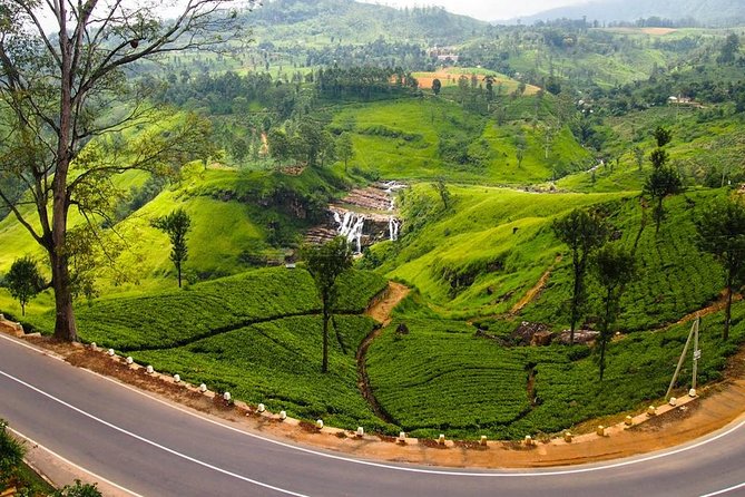 Nuwara Eliya journey by Train and car (2 Days with 01 Night) - Nuwara Eliya walking time in Little England, what you should do with it