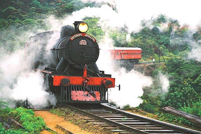 Nuwara Eliya journey by Train and car (2 Days with 01 Night) - Susantha Spice and Herbal Garden, a fast start to Sri Lanka’s plant knowledge