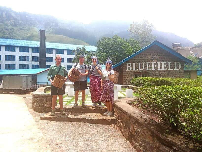 Nuwara Eliya: Tea Factory and Pickle Waterfalls Tuk Tuk Tour - Ramboda Falls: 109 Meters, Big Views, and Stair Work
