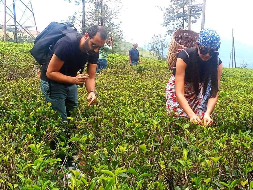 Nuwara Eliya: Tea Factory and Pickle Waterfalls Tuk Tuk Tour - FAQ