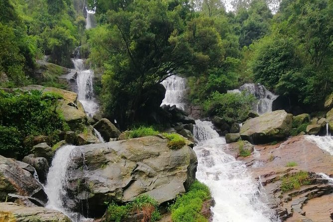 Nuwara Eliya Tea factory and waterfall tour - Price and Value: What $50 Gets You