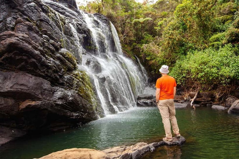Nuwara Eliya to Horton Plains, Strawberry& Ambewela Farm TUK - Why Horton Plains feels like a misty, living place