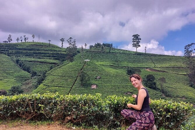 Nuwara Eliya Tours - Price and value for $40 per group up to 2