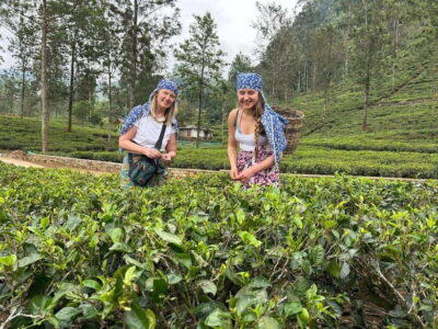 Nuwara Eliya Tuk-Tuk Tour Tea Picking,Tasting &Ramboda Falls