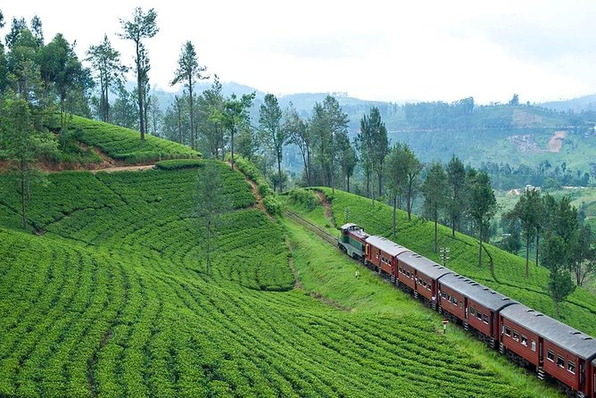 Nuwaraeliya Day Tour & Kithulgala Water Rafting from Kandy,Colombo or Ella - Nuwara Eliya, then Kitulgala rapids, in one efficient route