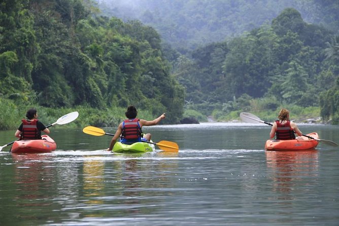 Nuwaraeliya Day Tour & Kithulgala Water Rafting from Kandy,Colombo or Ella - Devon Falls and the plantation walk approach