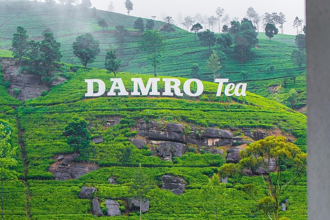NuwaraEliya Tea Factory,Plantation & Water Falls Hike Tour by Car - Key highlights if you want the quick version