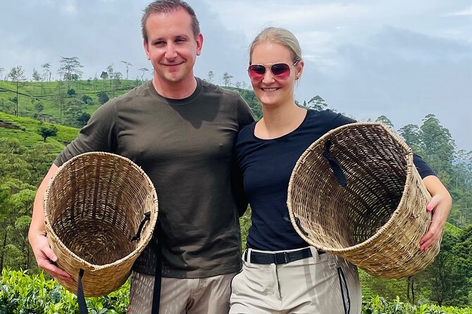NuwaraEliya Tea Factory,Plantation & Water Falls Hike Tour by Car - Pickup, private car comfort, and timing in about 5 hours