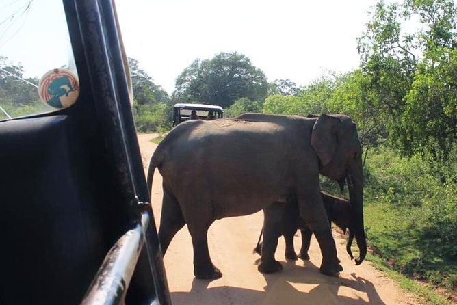 One Day Udawalawe Safari from Galle/Mirissa/Unawatuna/Hikkaduwa - Why Koggala stick fishermen are worth the short stop