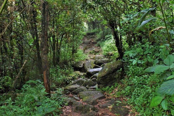 Overnight Adventure Trekking in Knuckles - Key highlights at a glance