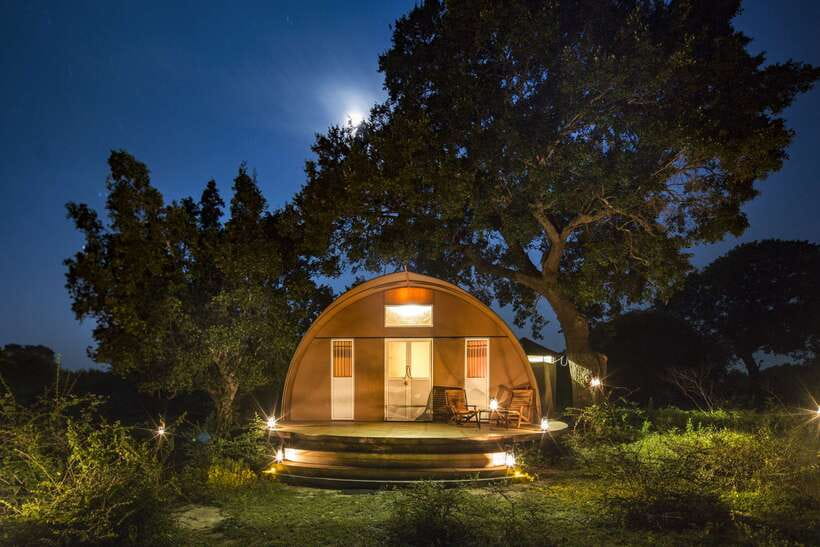 Overnight Treehouse Safari at Yala National Park - Why the Leopard Nest treehouse makes Yala feel different