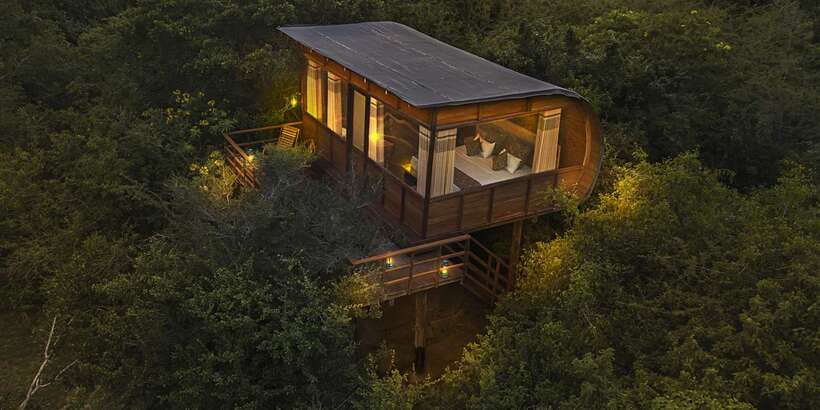 Overnight Treehouse Safari at Yala National Park - Day 2 at dawn: bush walk, birdwatching, and lake breakfast