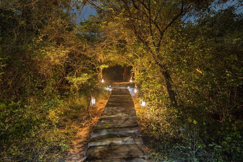 Overnight Treehouse Safari at Yala National Park - Treehouse comfort, meals, and what matters most for your stay
