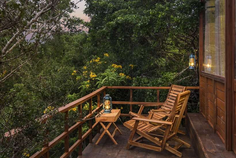 Overnight Treehouse Safari at Yala National Park - Price and value: is $549 per person worth it?