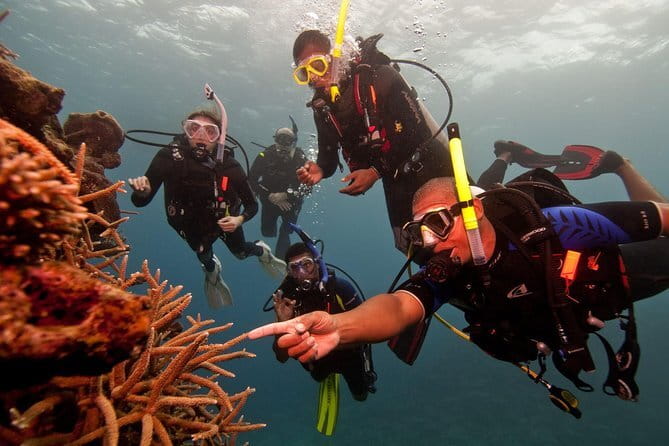 PADI Advanced Open Water Diver Course - Gear, Comfort, and Safety: A Calm, Patient Teaching Style