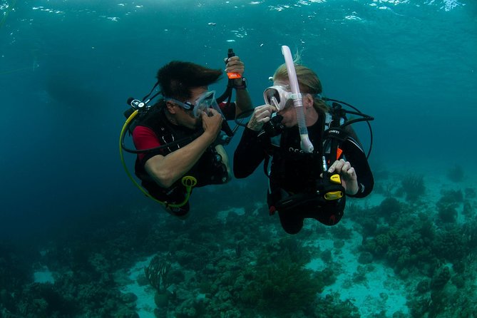 PADI Scuba Diver Course - The Two-Day Flow: Theory, Confined Water, Then Open-Water Skill Work