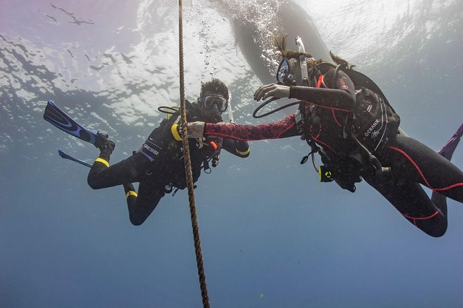 PADI Scuba Diver Course - Where Your Money Goes: Course Fee vs the PADI 70 Euro Add-On