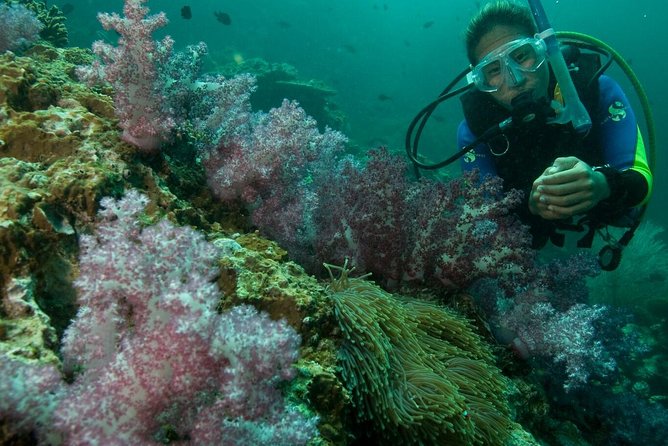 PADI Scuba Diver Course - Underwater Expectations in Nilaveli: Marine Life and Big-Screen Views