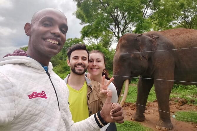 Paradise Ella Day/OneWay Tourvisit or without(Udawalawe/Yala)Tour - The Private Tuk Tuk Transfer, and What You Actually Get in the Ride