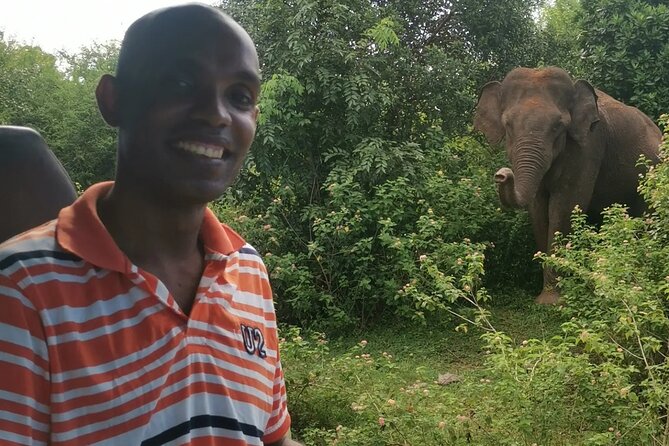 Paradise Udawalawe Safari Tours - Inside Udawalawe: what you’re looking for on your three-hour search