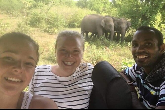 Paradise Udawalawe Safari Tours - Getting in: tickets at the entrance gate