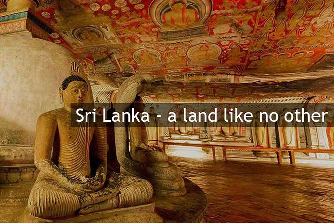 Personal Driver For Your Two Weeks Round Tour In Sri Lanka - Who this two-week private driver suits best