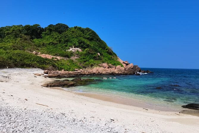 Pigeon Island Snorkeling – Swim with Sharks & Turtles - Meeting at Pigeon Island Tours and what to expect before you hit the water