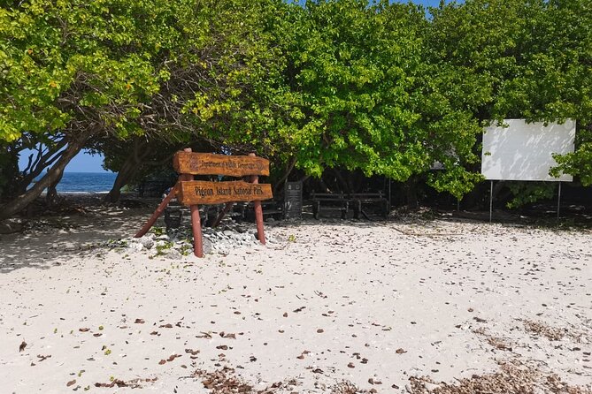 Pigeon Island Snorkeling – Swim with Sharks & Turtles - Chance of turtles, rays, and blacktip reef sharks, and how to stay ready