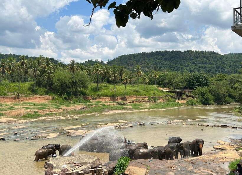 Pinnawala Day Tour from Kandy (Private tour ) - Key things I’d focus on