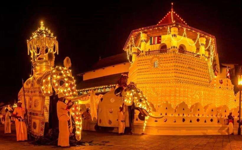 Pinnawala,Kandy Day Tour from Colombo/Negombo - A 12-hour Kandy and Pinnawala day plan, starting around 6:30 AM