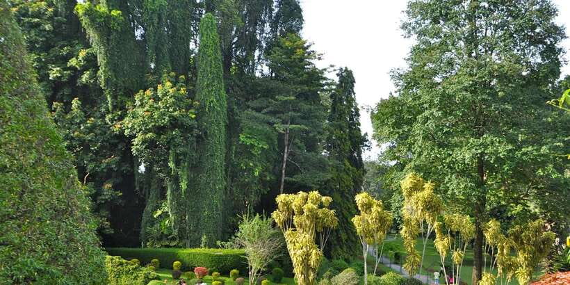 Pinnawala & Kandy Day Tour from Negombo - A small group, an air-conditioned vehicle, and a real chauffeur guide