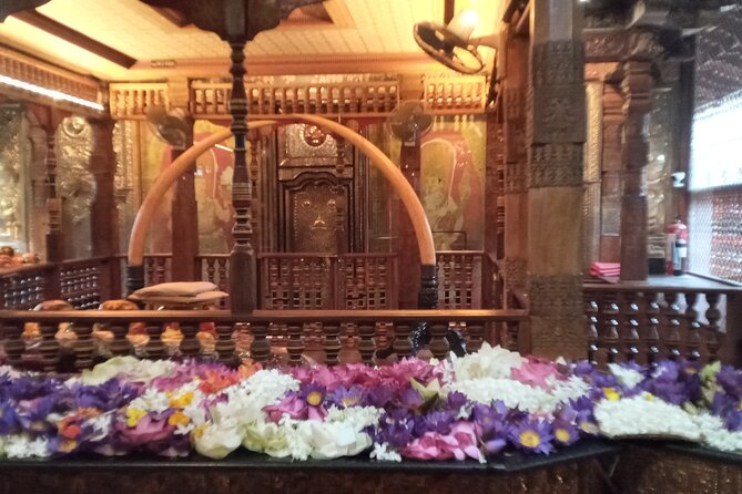 Pinnawala private day trip from colombo or negombo - From Negombo or Colombo to Pinnawala in One Private Ride