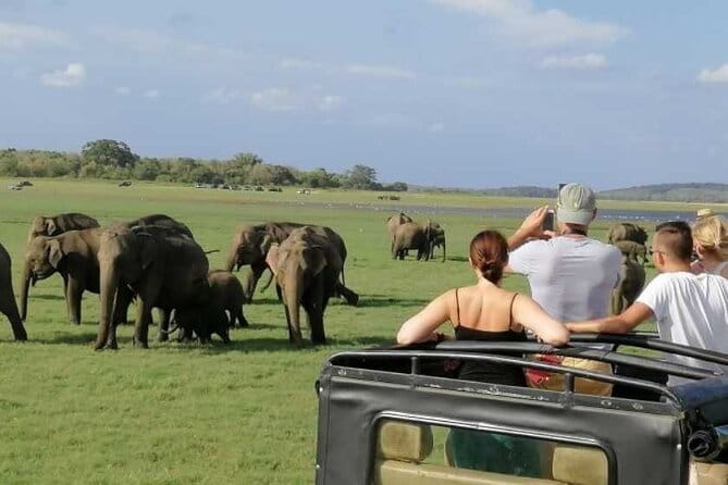 Polonnaruwa Ancient City Private Day Tour (Hidden Gems) - The In-Between Stops That Make the Day Feel Complete