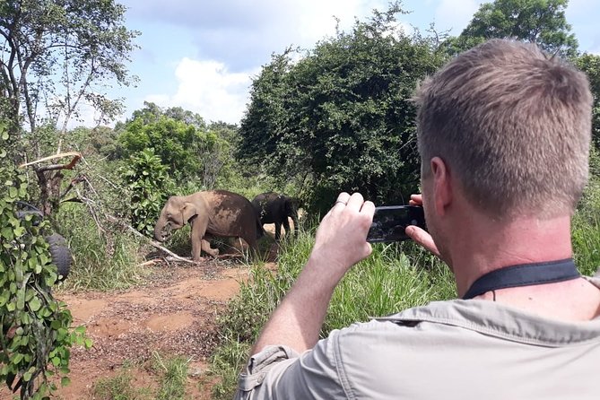 Polonnaruwa Day Tour with Lunch by Mahaweli - Optional Minneriya National Park: Elephants If You Want the Extra