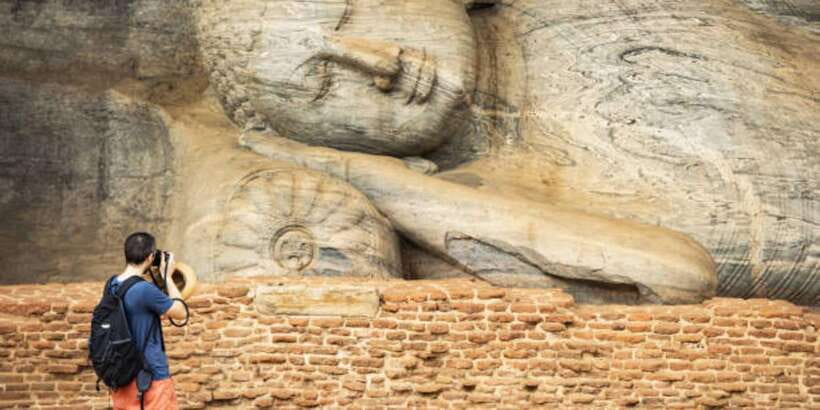 Polonnaruwa Day Tour With Minneriya NP Elephant Safari - Minneriya in the afternoon: 4x4 safari for elephants and more