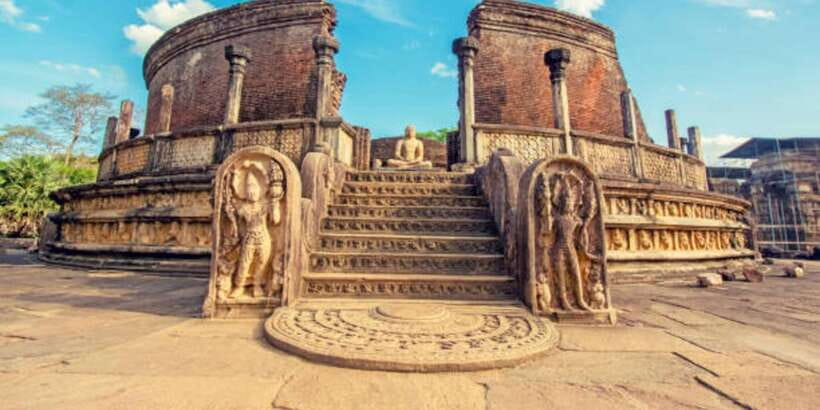 Polonnaruwa Day Tour With Minneriya NP Elephant Safari - Wildlife spotting tips: how to get the most out of the safari