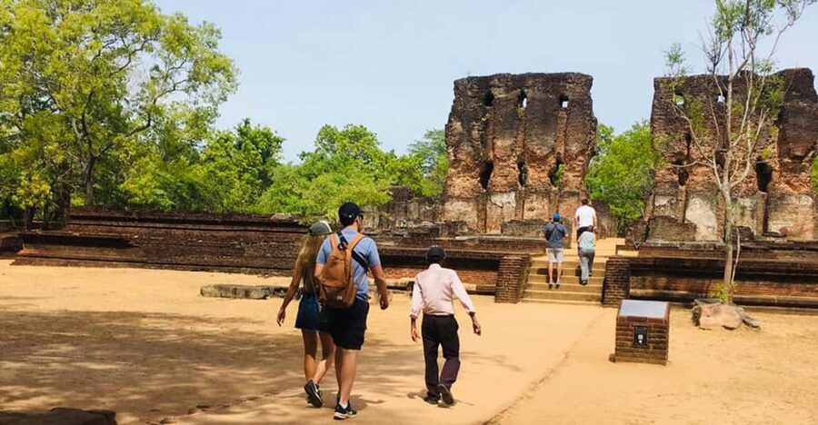 Polonnaruwa Sight Seeing Tour and Minneriya Elephant Safari - What you might see besides elephants