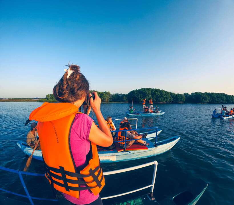 Pottuvil Lagoon Eco Tour : Mangrove Adventure in Arugam Bay - Wildlife Viewing on the Water: Elephants, Crocodiles, Birds