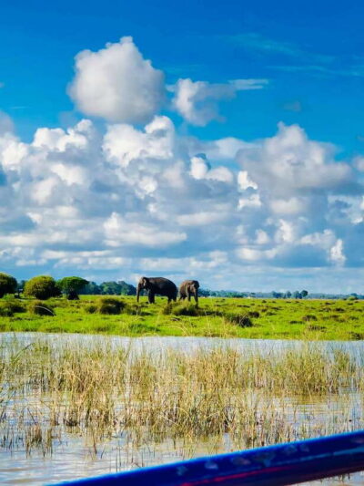 Pottuvil Lagoon Eco Tour : Mangrove Adventure in Arugam Bay