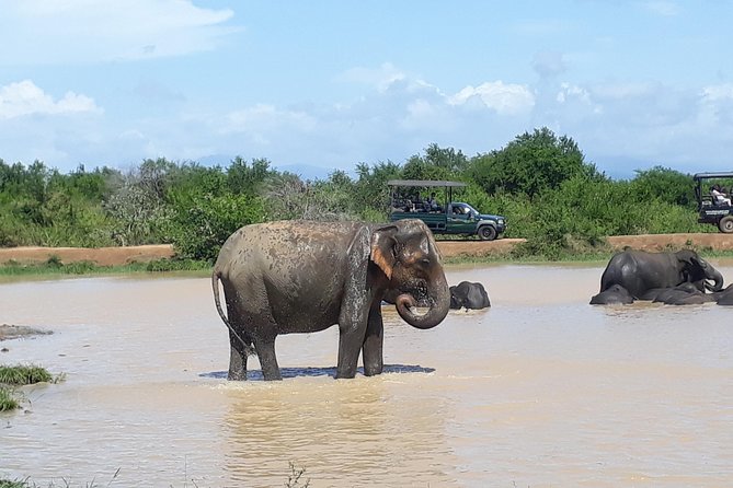Private 2-Day Trip To Mirissa Beach And Yala From Colombo - Colombo To Mirissa And Yala: Why This Route Works