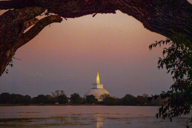Private 7-Day Tour around Sri Lanka - The smart way to see Sri Lanka in 7 days