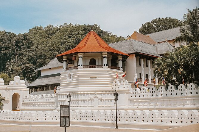Private 7 Days Sri Lanka Tour with Safari and Cultural sites - Day 7 back to Negombo and out through your departure flight