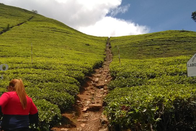 Private all inclusive Day tour Kandy, Pinnawala, & your own selected attractions - Price and what you truly get for $97