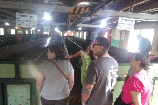 Private all inclusive Day tour Kandy, Pinnawala, & your own selected attractions - Geragama Tea Factory: tea tasting plus plantation atmosphere