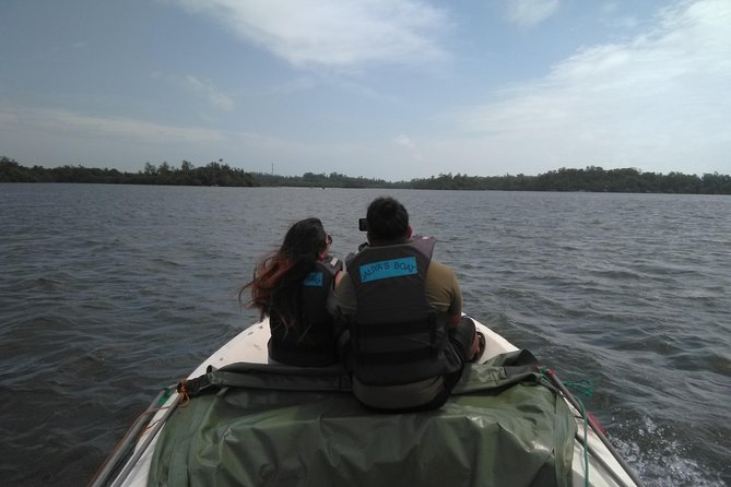 Private all inclusive Day tour southern Sri Lanka Bentota and Galle - Price, Lunch, and Comfort: Where the $61 Actually Goes