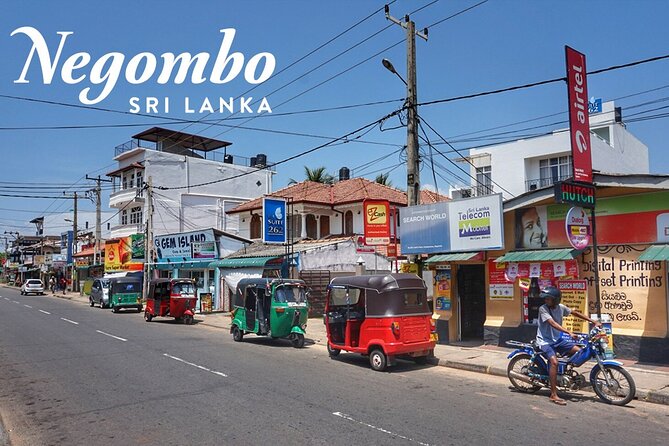 Private City Tour in Negombo - Key points before you go