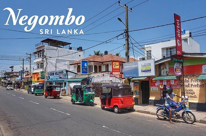 Private City Tour in Negombo - Negombo Lagoon: Where Biodiversity Meets Everyday Geography