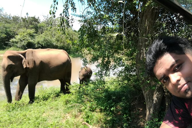 Private Dambulla Sigiriya Tour from Kandy with friendly chauffeur - Stop 2: Ranweli Spice Garden (fast, guided, usually low-cost)